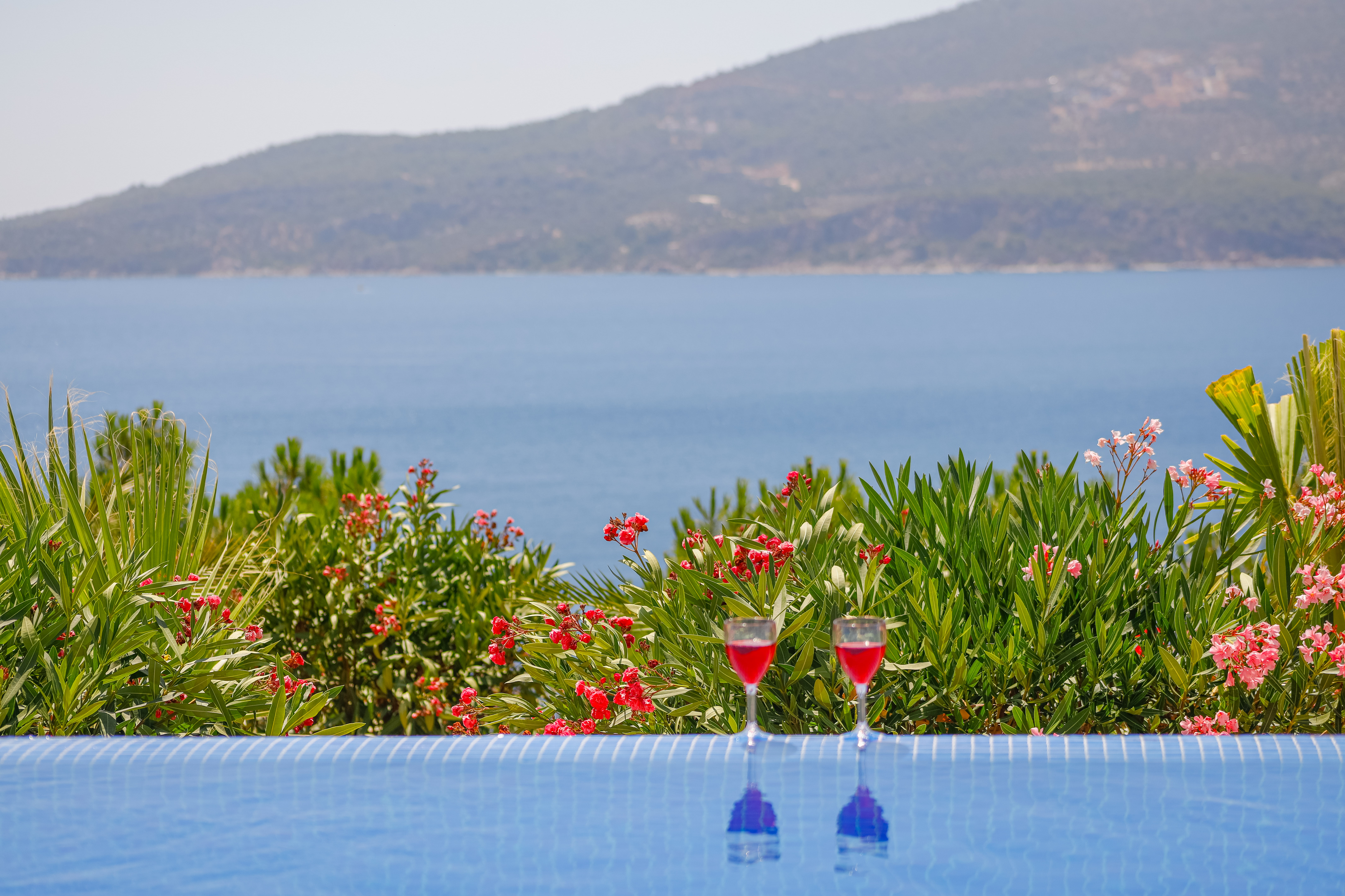 Villa Bianca by the pool